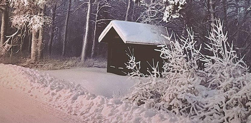 Winterfun❄️❄️❄️ banner