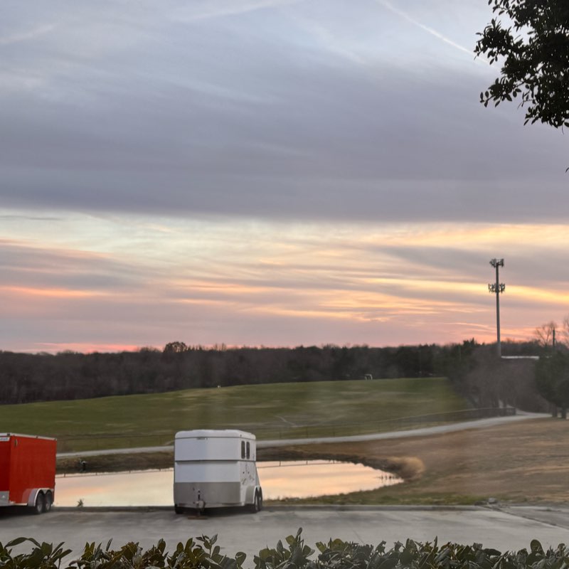 Conscious Vitality logo