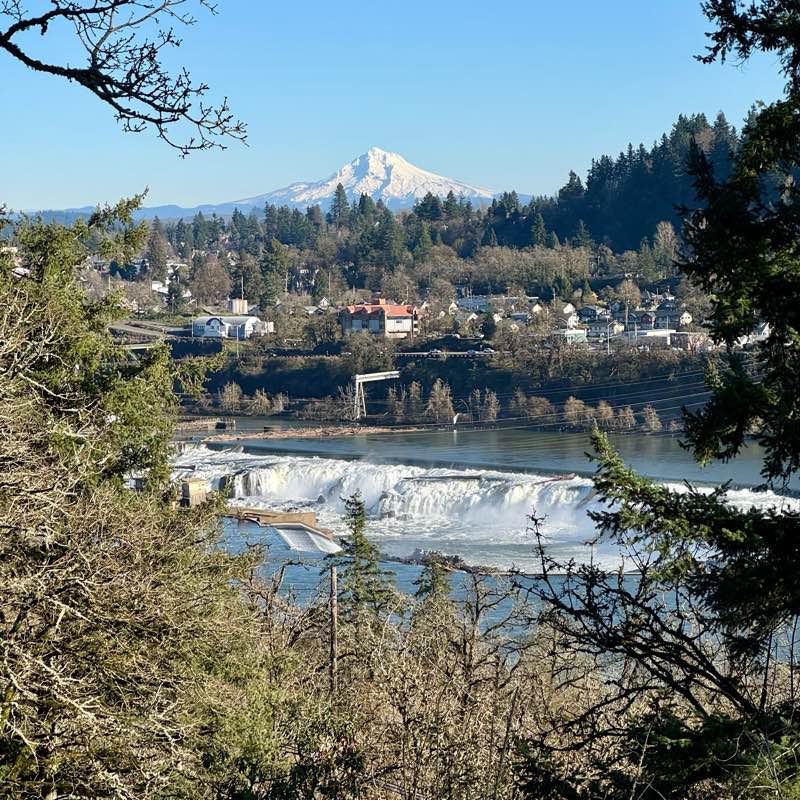 Walking to live logo