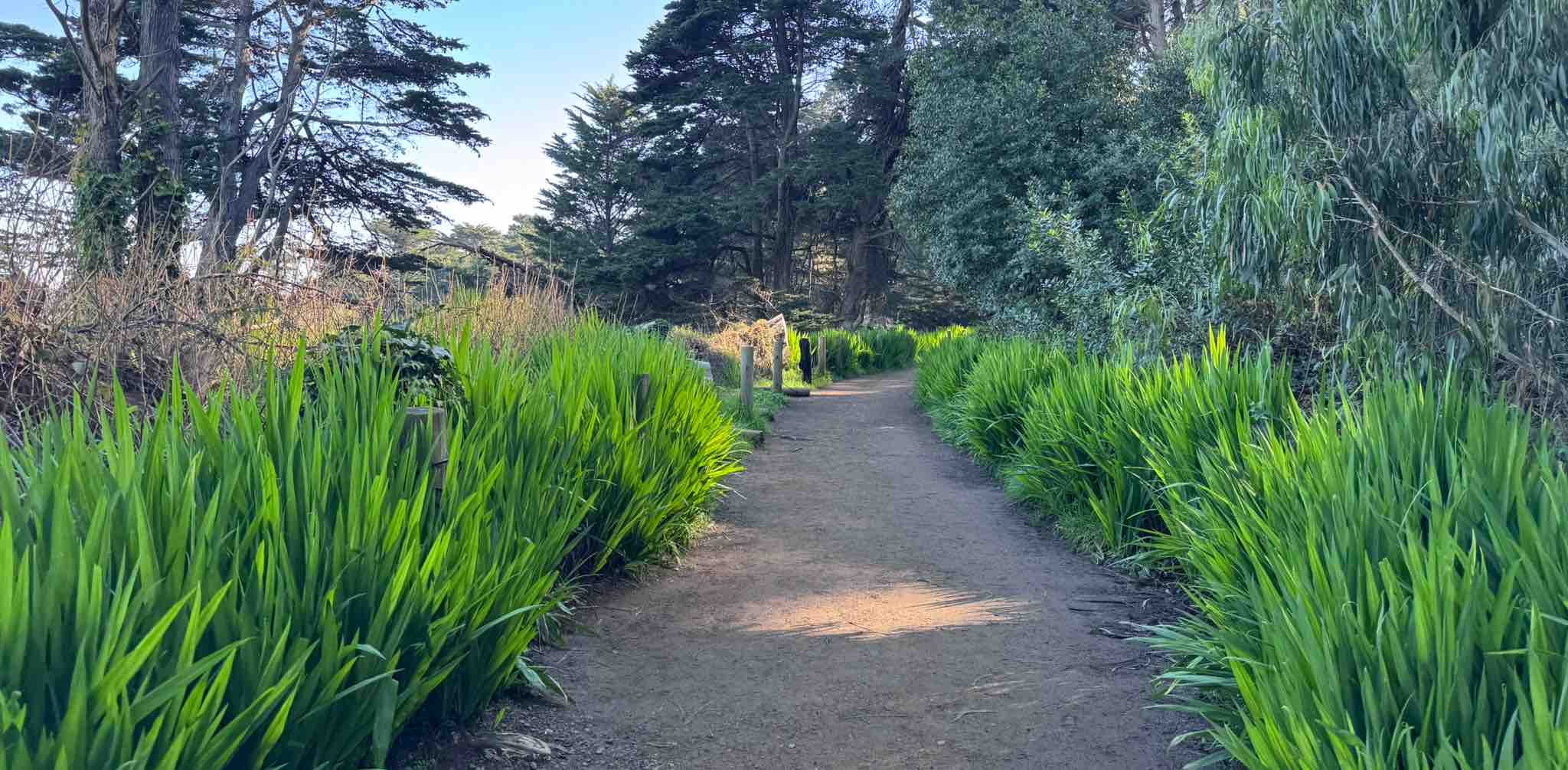 SMF_Explorers banner