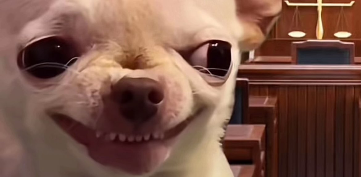 Big Back Babes banner