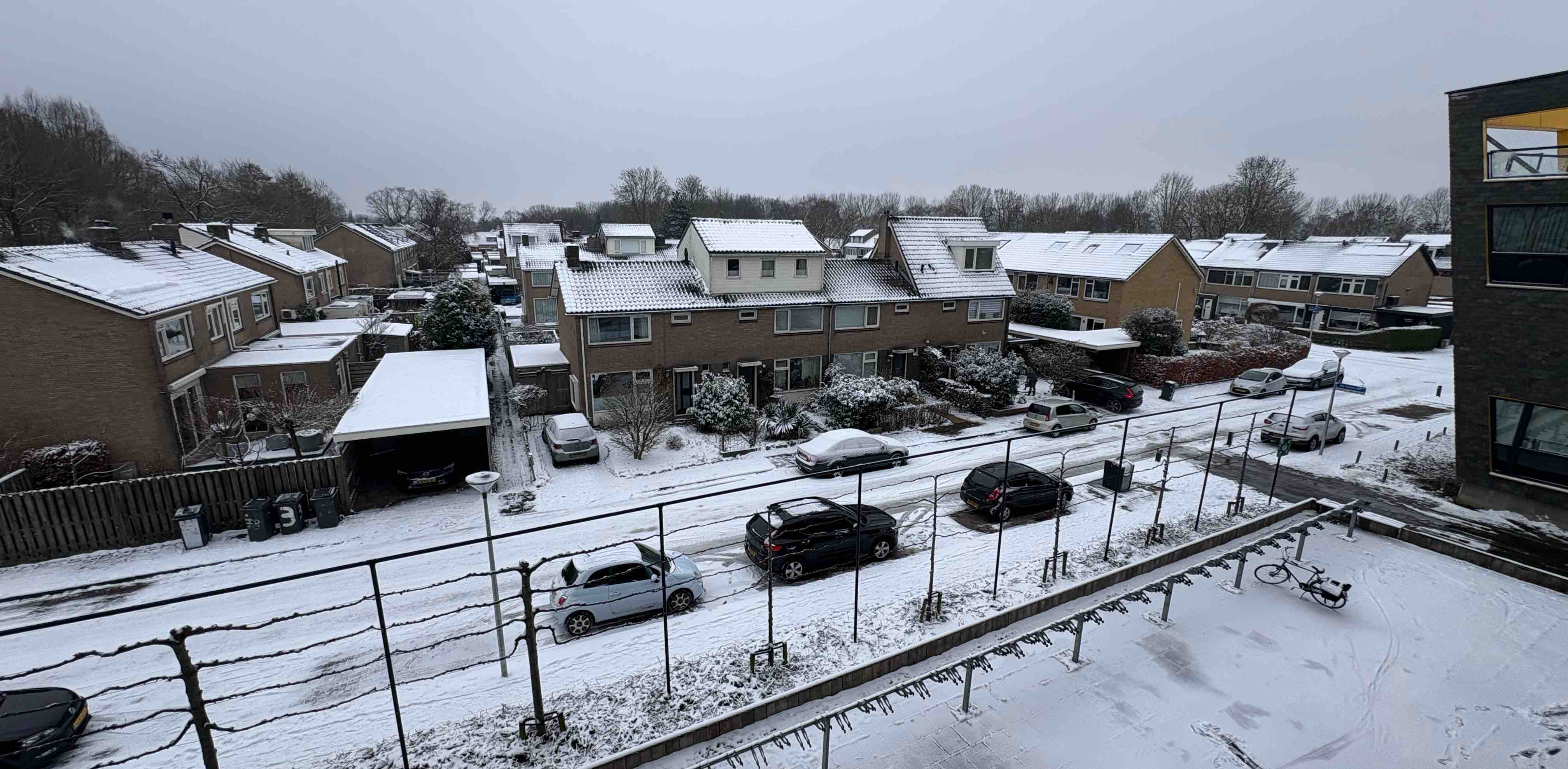 Zahra & Fahimeh banner