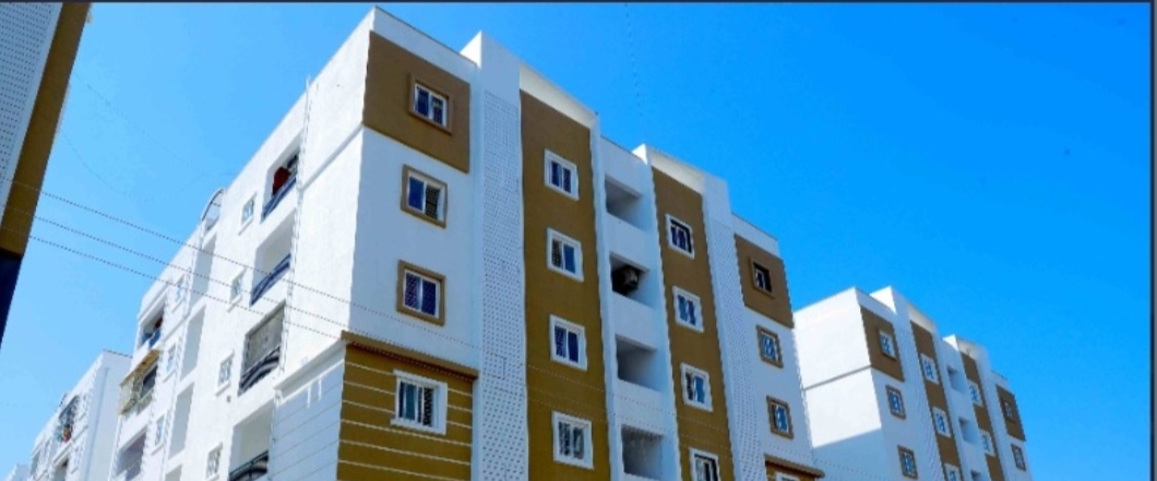 VG Home's Walking club banner