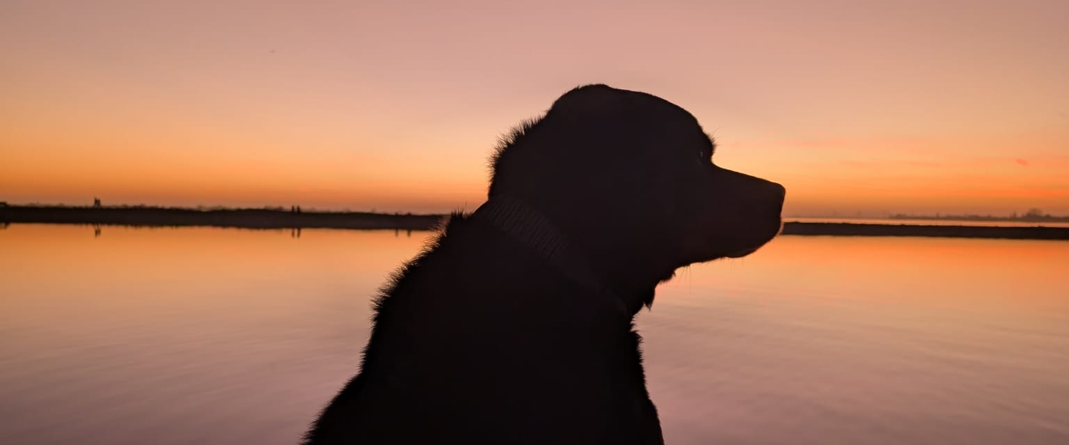 Jas (Jessie Ace Stitch) banner