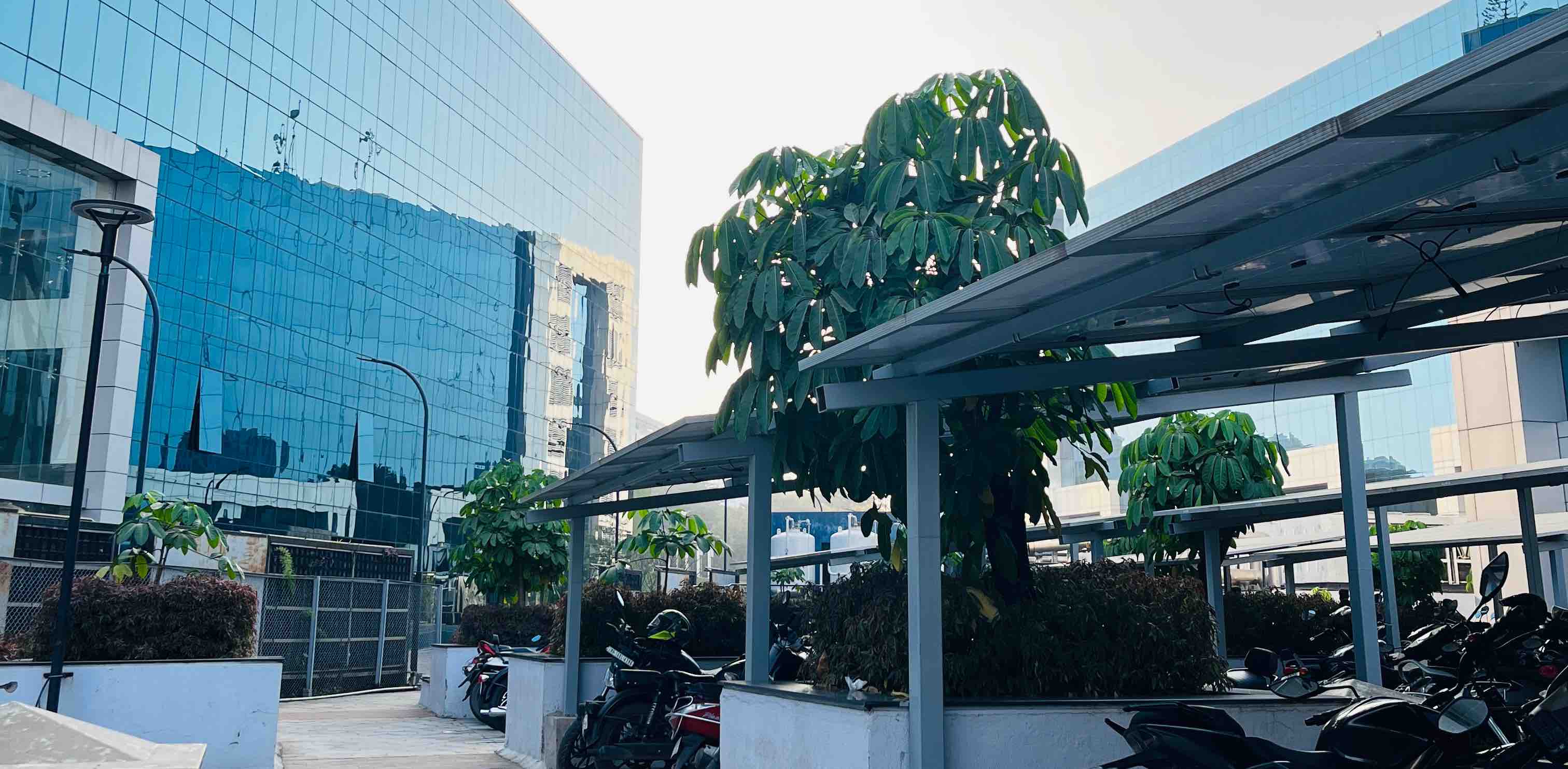 32 Pinewood Drive Walkers banner