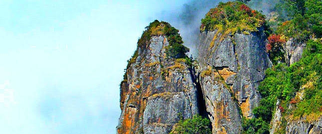 செங்காந்தள் கோடை கூடுகை banner