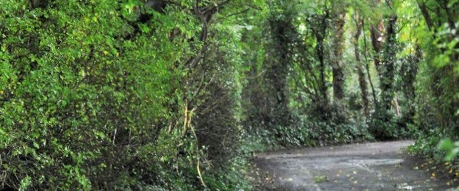 ๐บ๐ชด๐Just for fun ๐๐ผโโ๏ธ๐๐ผโโ banner