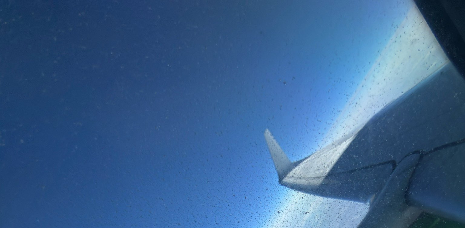 Сочная движуха banner