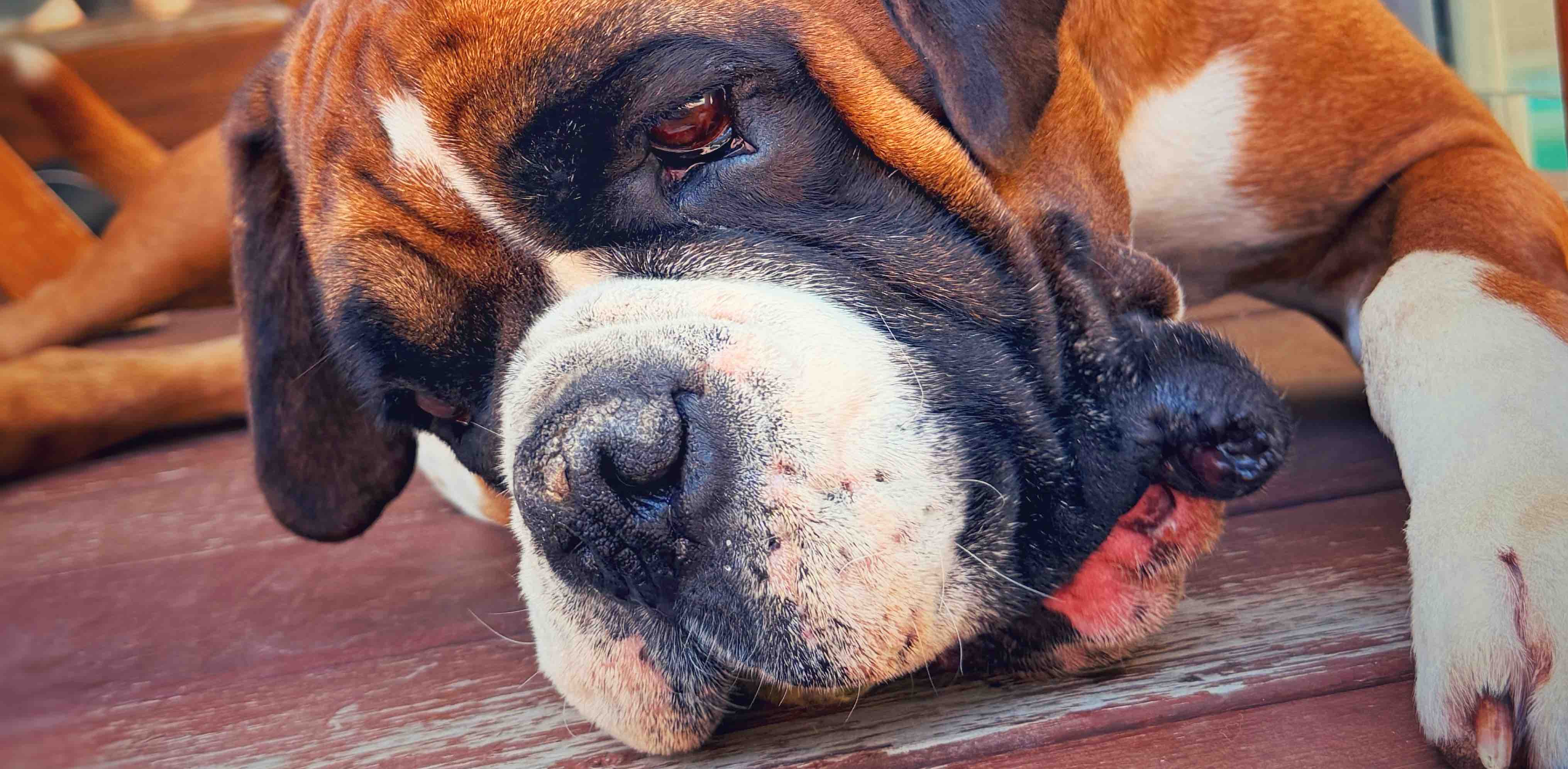 Pookas’s club banner