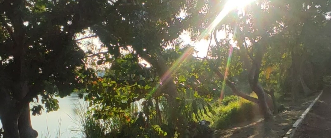 俱乐部 Casa XXI banner