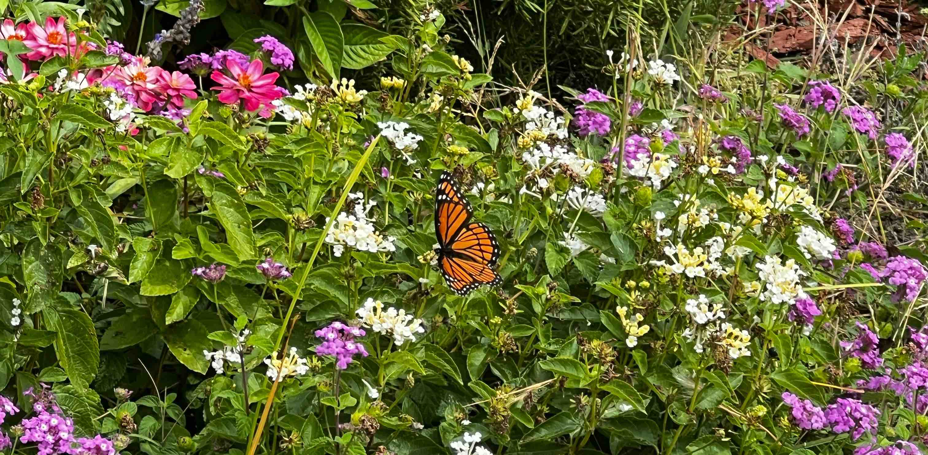 The Connection 🧩 banner