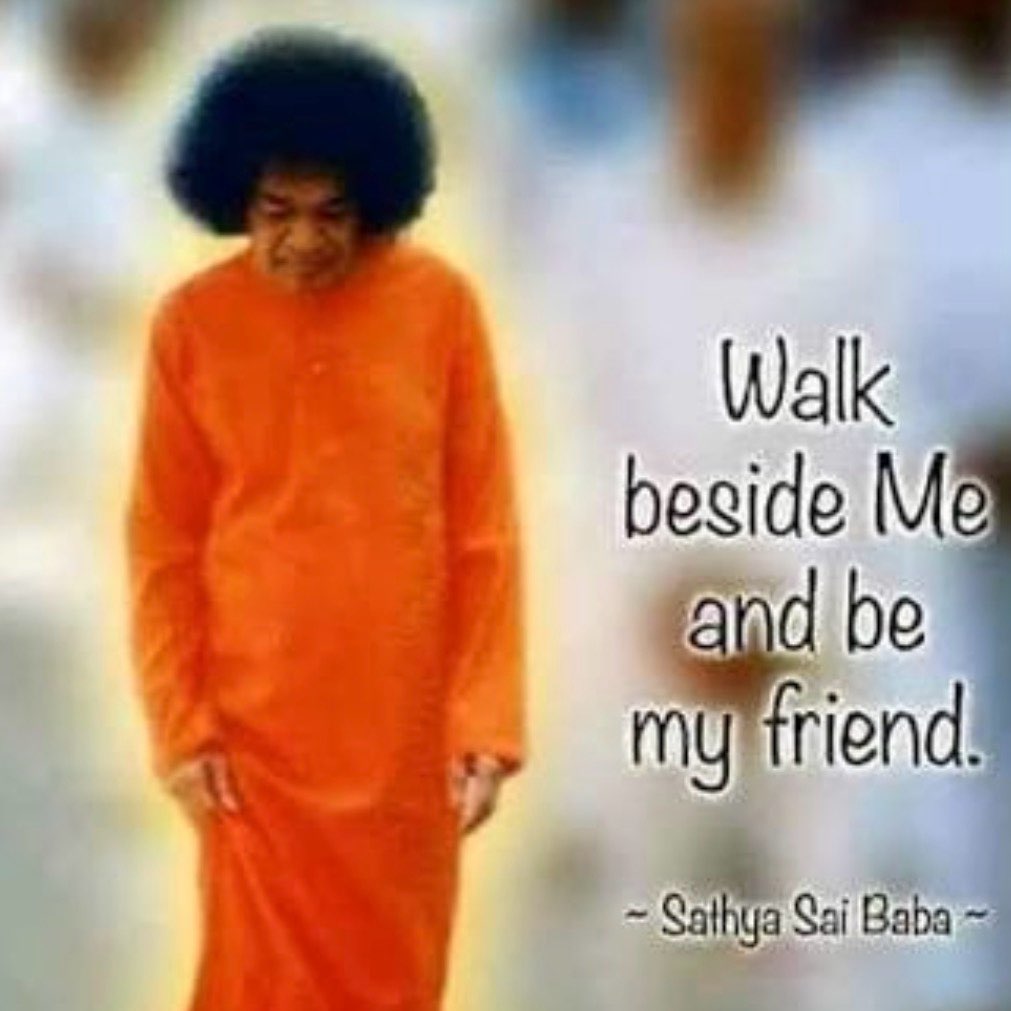 SAI Walking Group logo