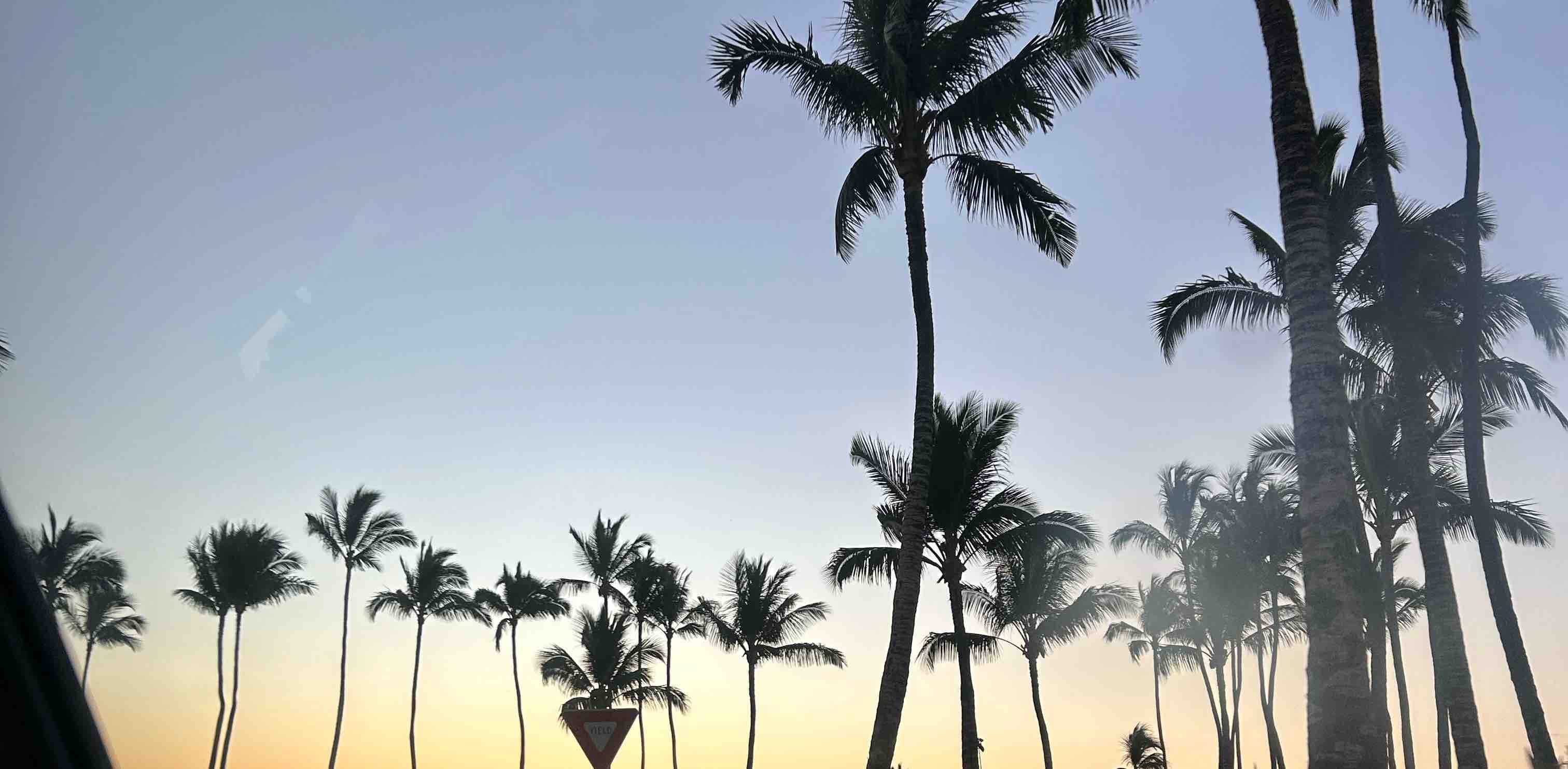 10k Step Club Challenge banner