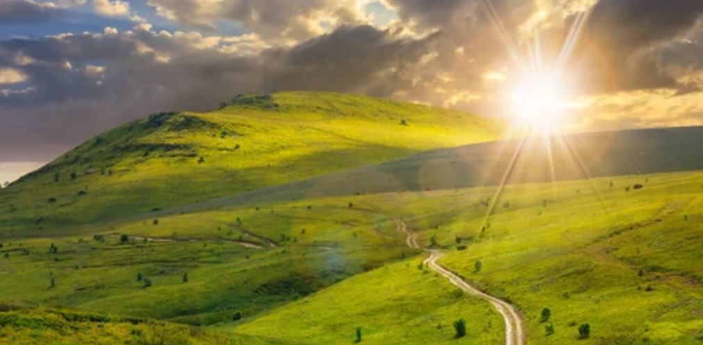 Дорога Счастья banner