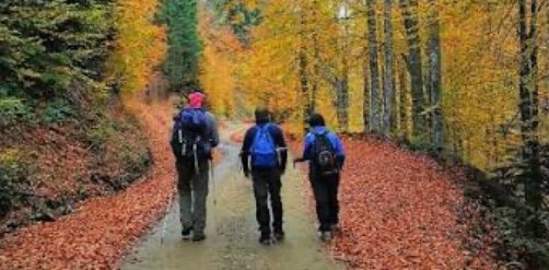 ✨Kız Kıza Yürüyüş 🏃‍♀️‍➡️👟 banner