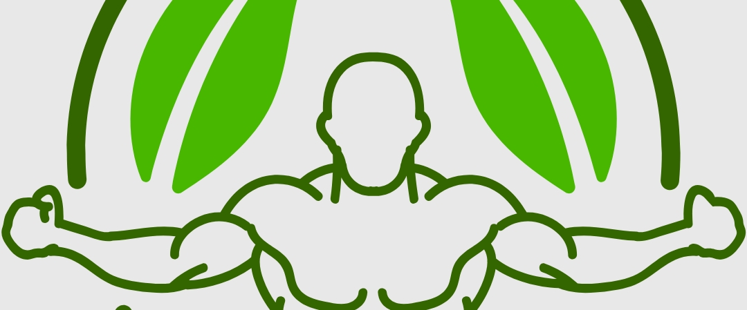 Steria Memories banner