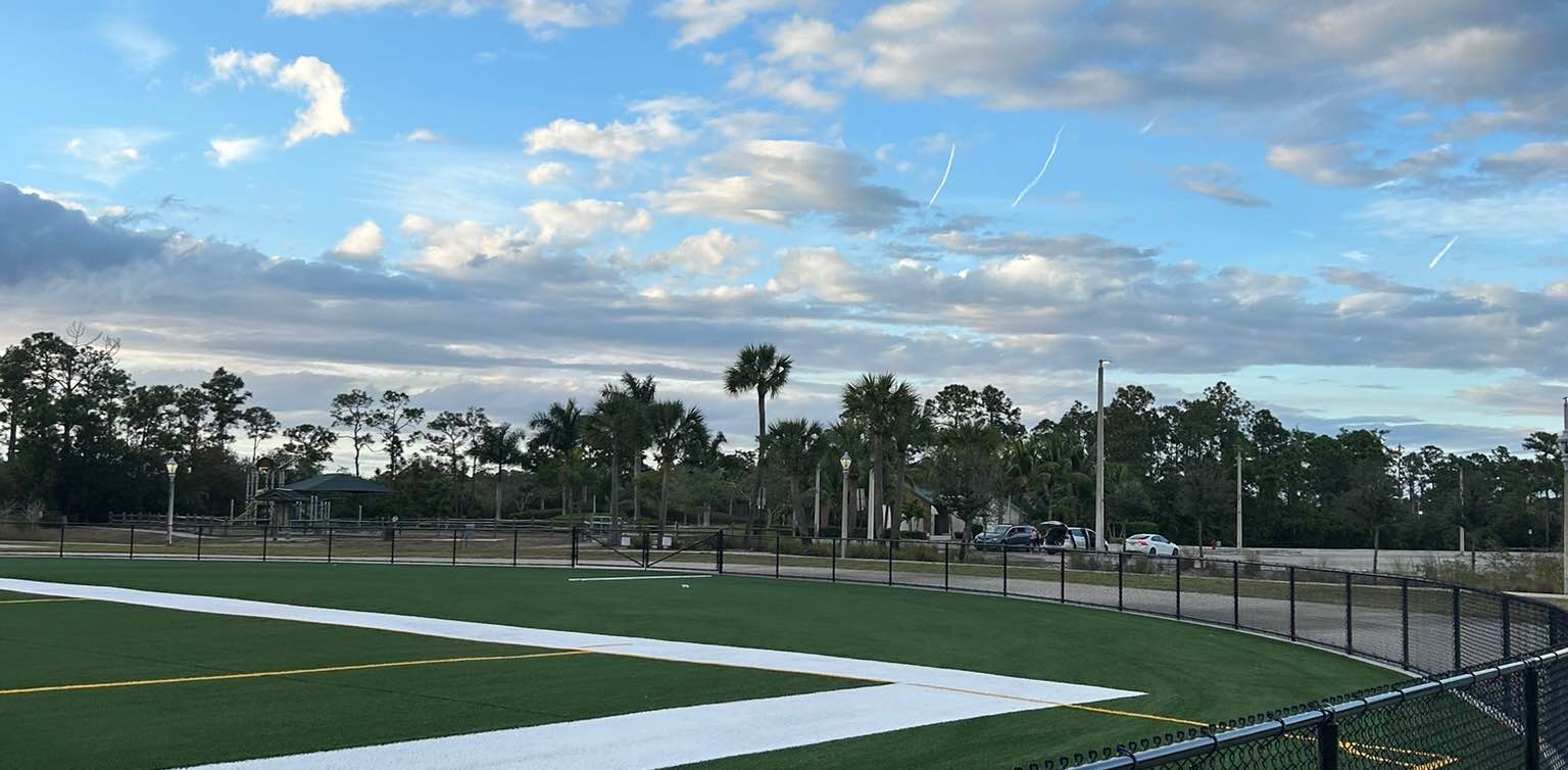 Vida saludable/healthy life. banner