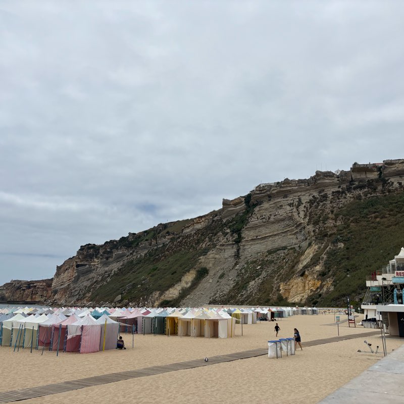 Happy Walking journey logo