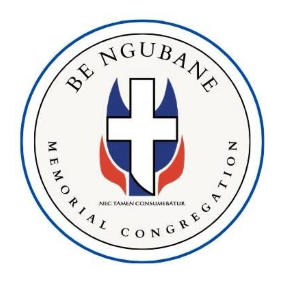 BE Ngubane W/Steps Challenge profile