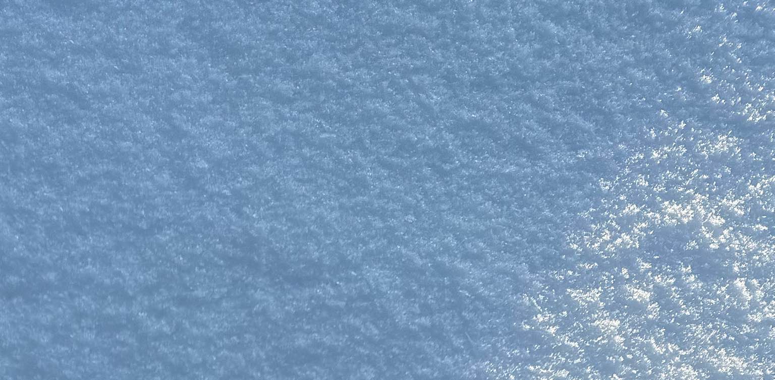 Пушинки🎑 banner