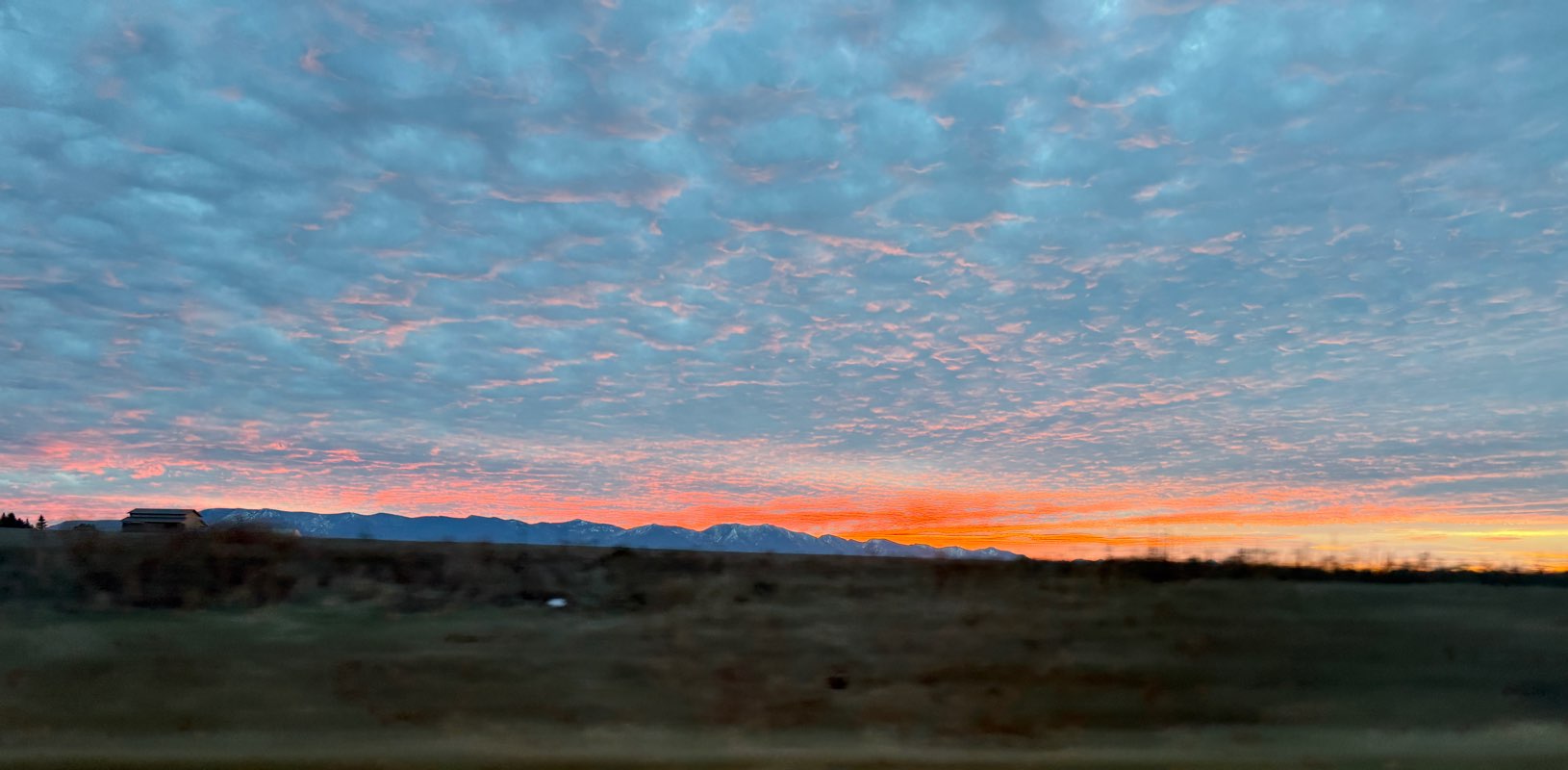 Spud Striders banner
