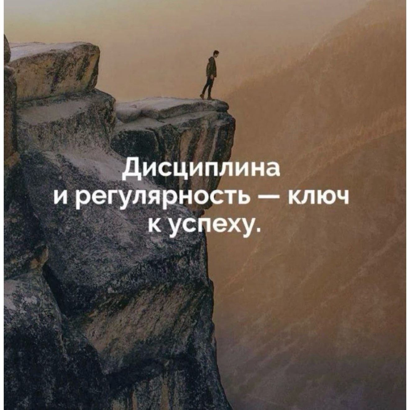 Дисциплина logo