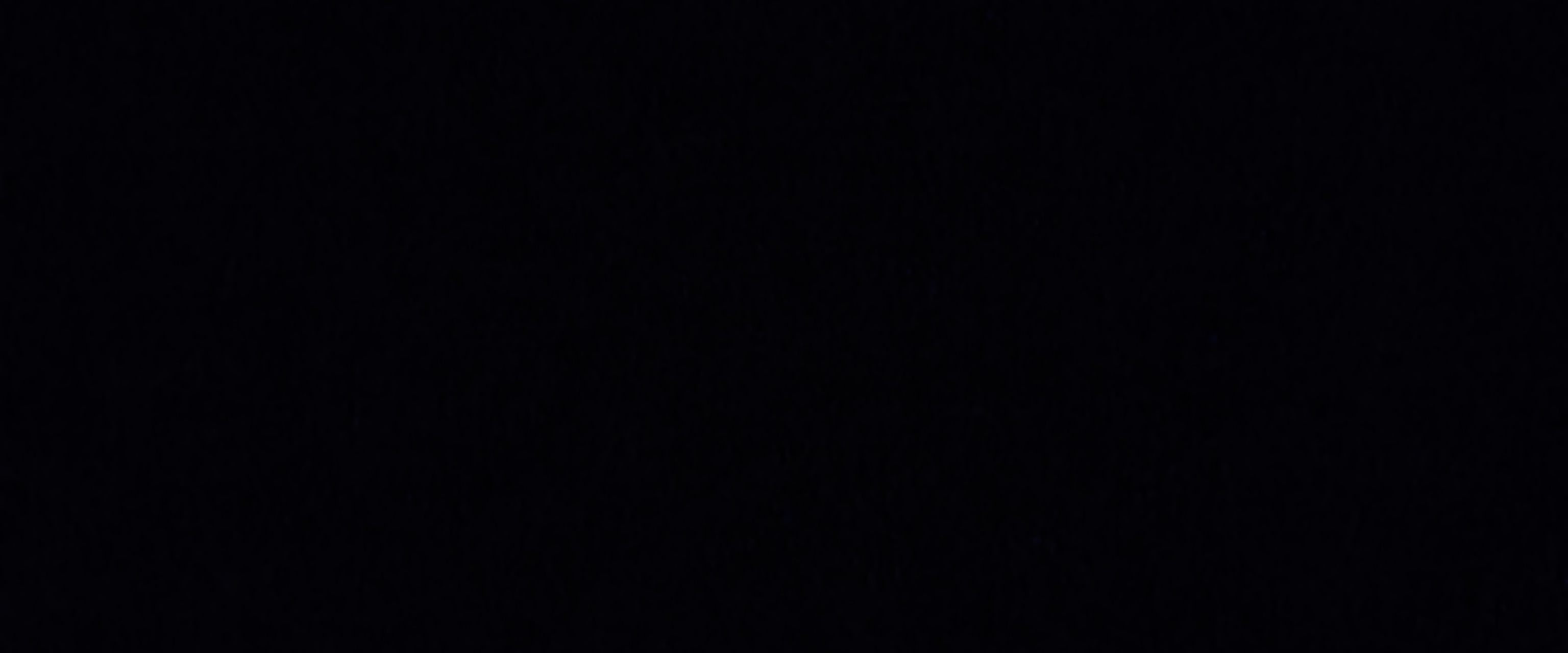 Io camminerò 🚶‍♀️ banner