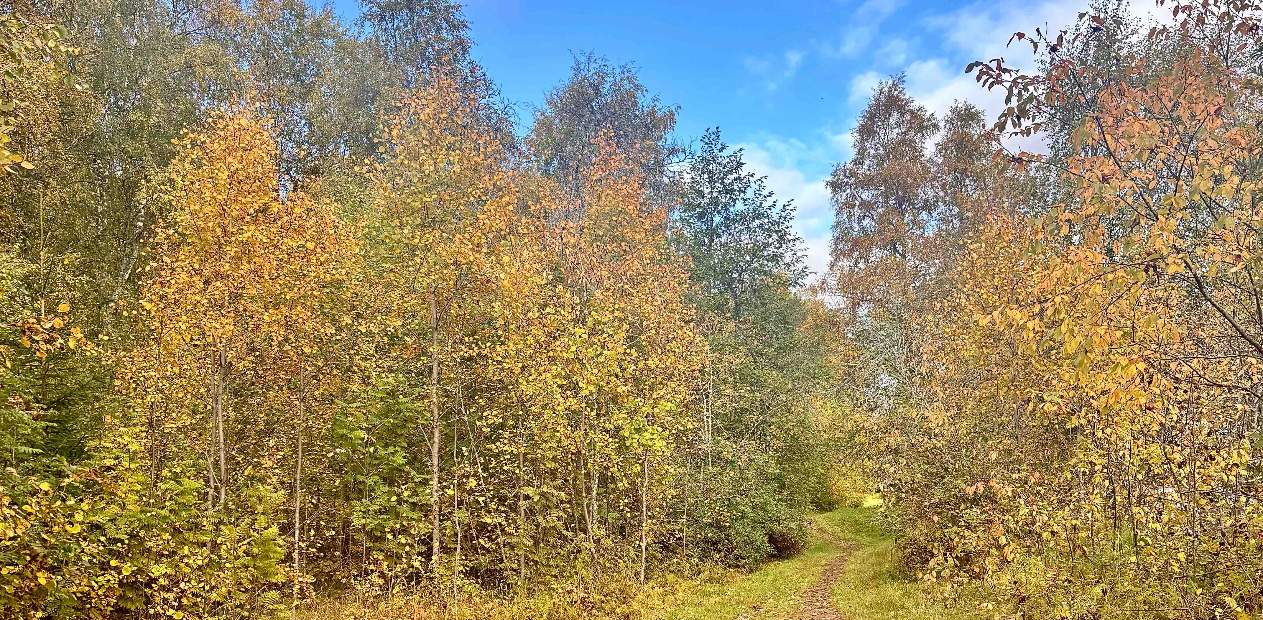 Autumn joy with friends! banner