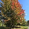 Gorgeous walks