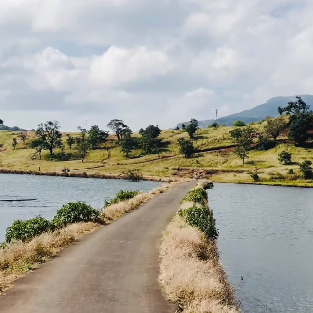 ☺️AGRICOS 95☺️ logo