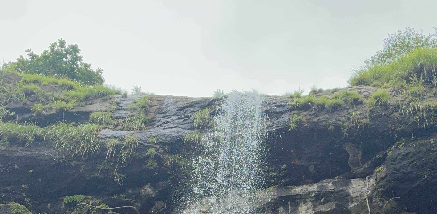 ☺️AGRICOS 95☺️ banner