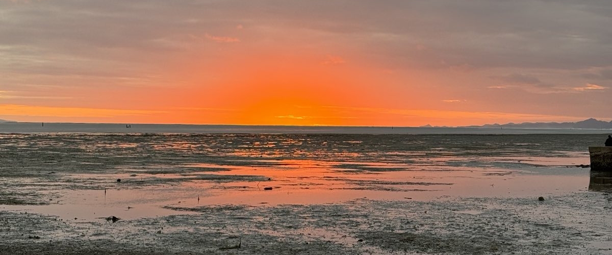 StepFusion: 🚶‍♂️🗺️🚶‍♀️🐕1️⃣ banner