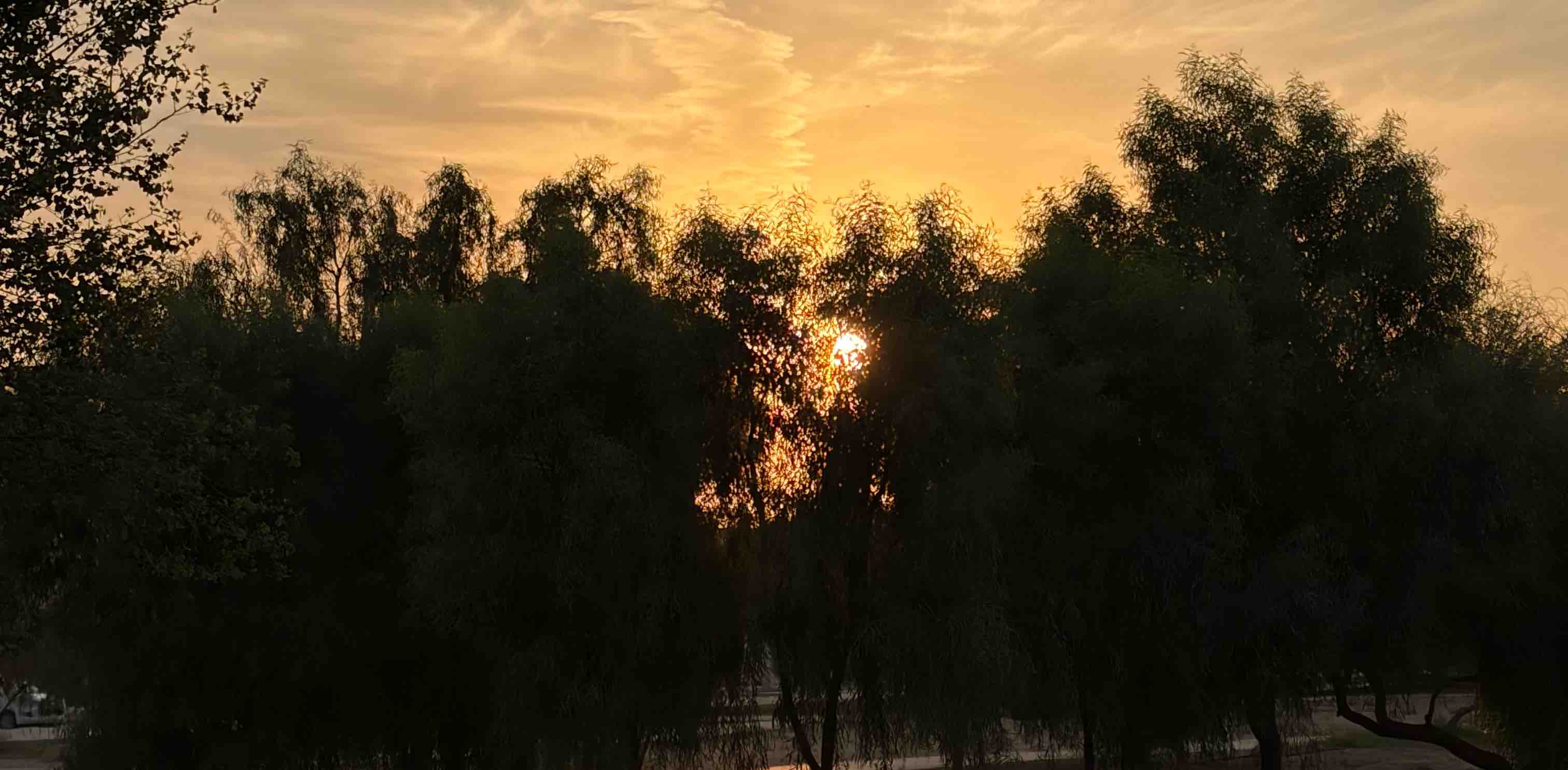 تحدي رمضان🌙 banner