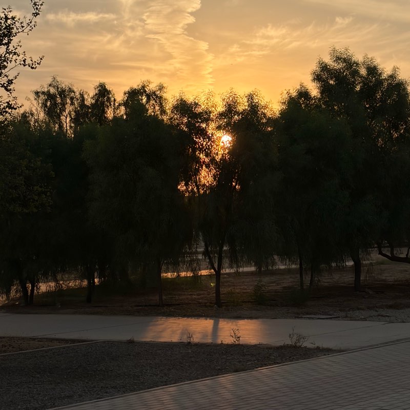 تحدي رمضان🌙 logo