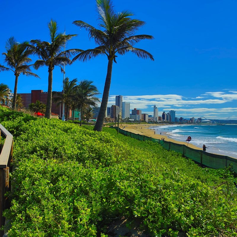 🇿🇦 DURBAN CLUB✨🌿 logo