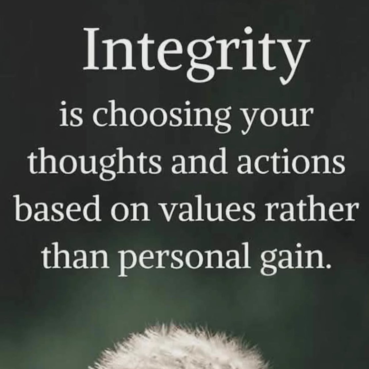 AZPH_IBEX + DIGITAL logo