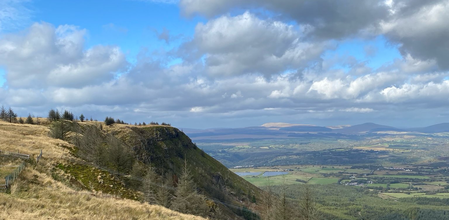 Newbie stepper banner