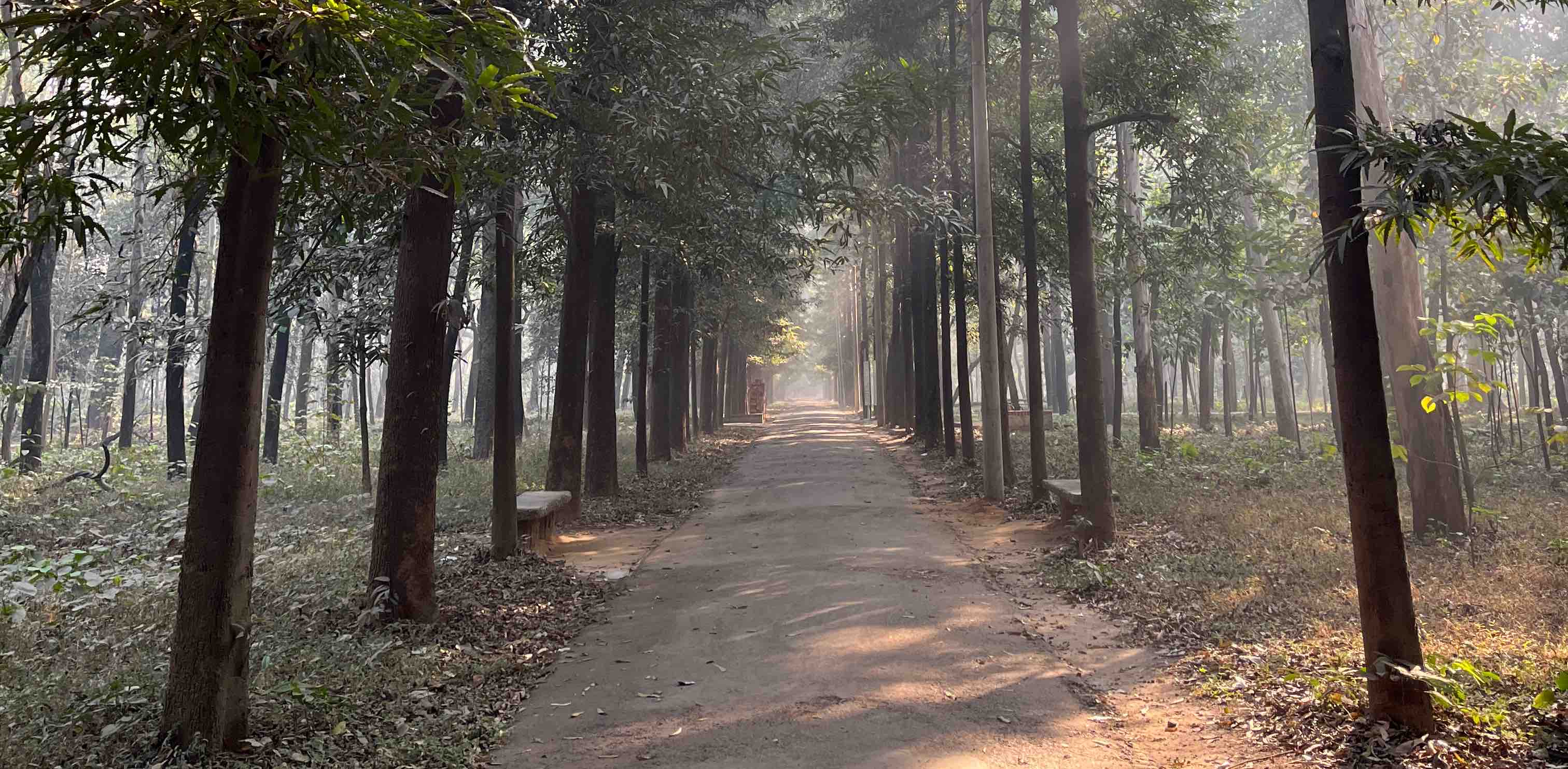 Pizion Runners banner