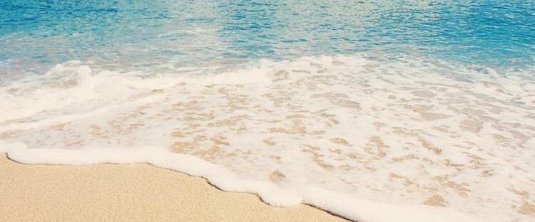 Friends and Fam banner