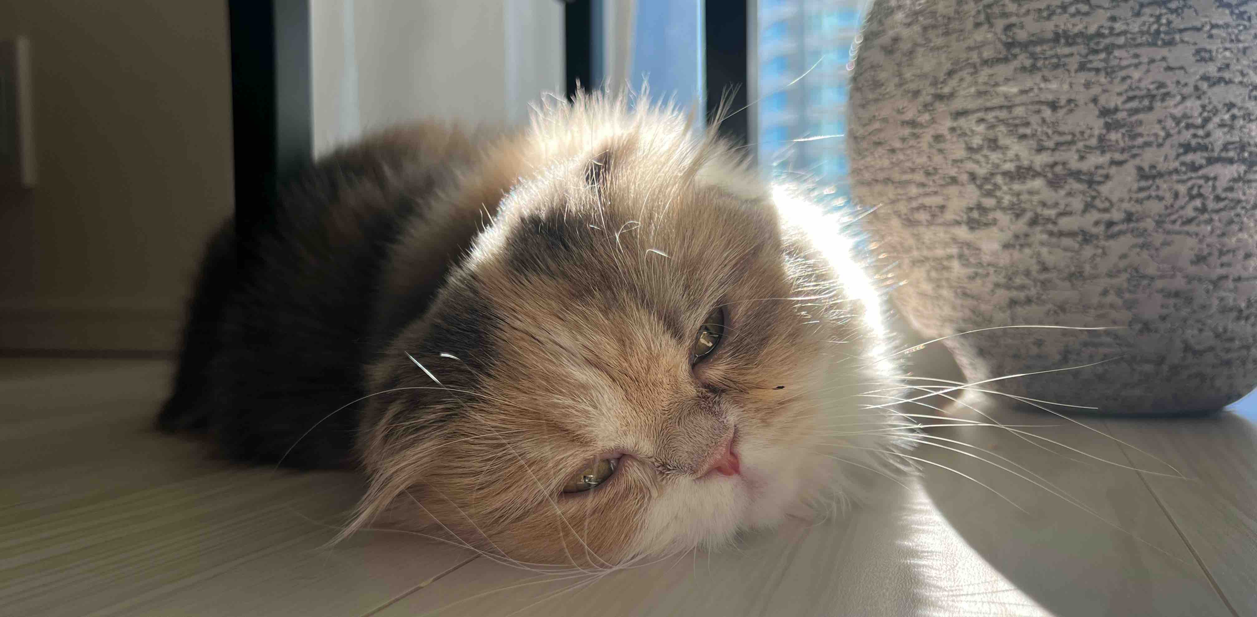 Friends and family banner