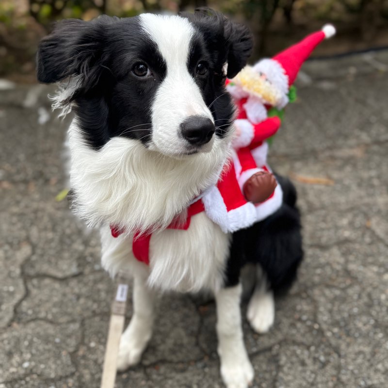 Let’s get physical! logo