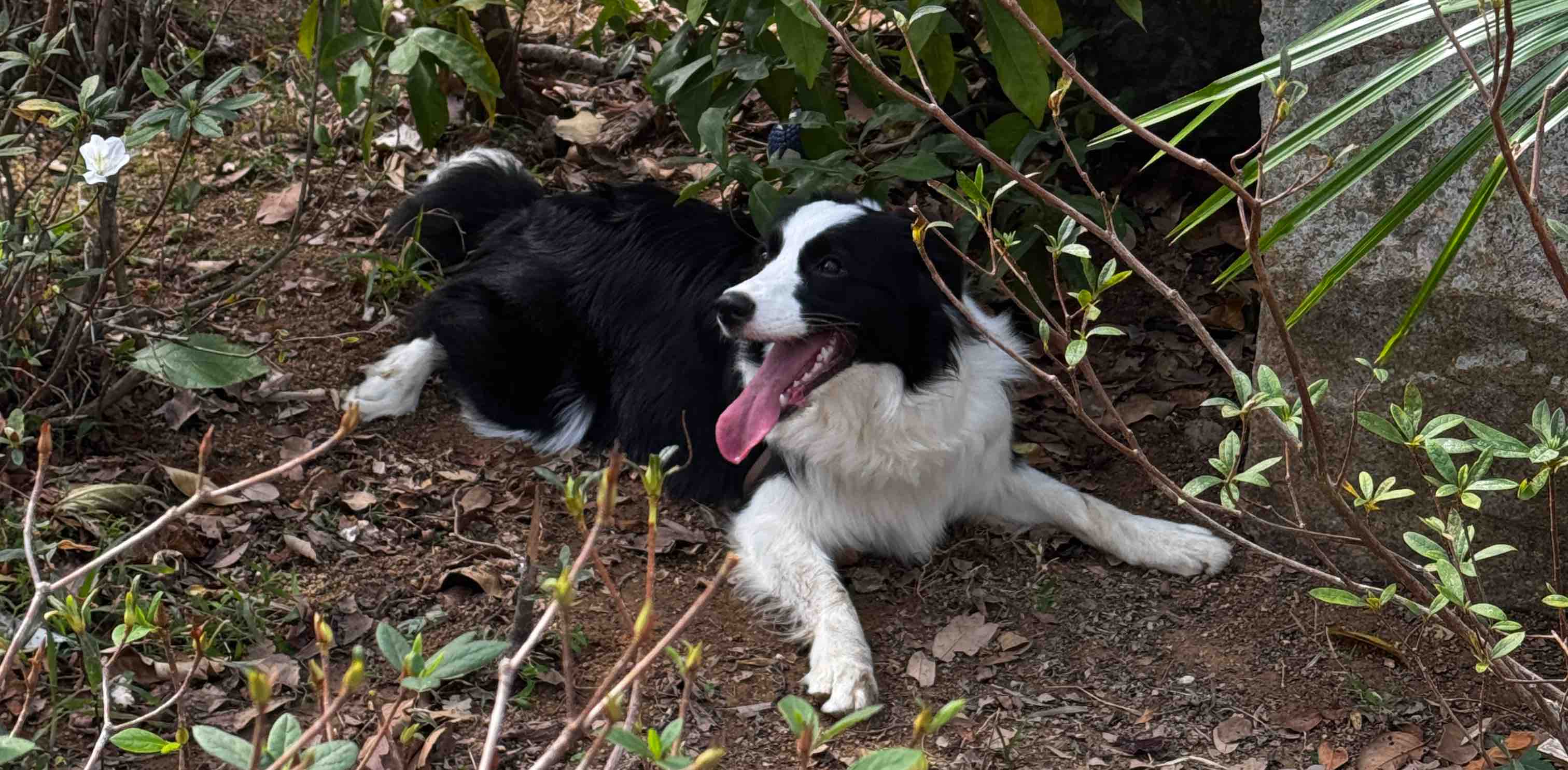 Let’s get physical! banner