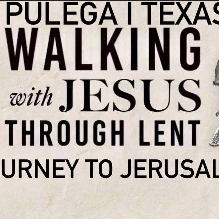 Pulega I Texas logo