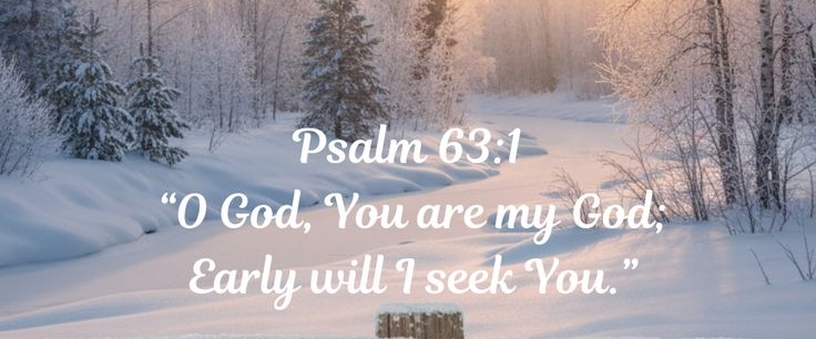 First watchers. banner