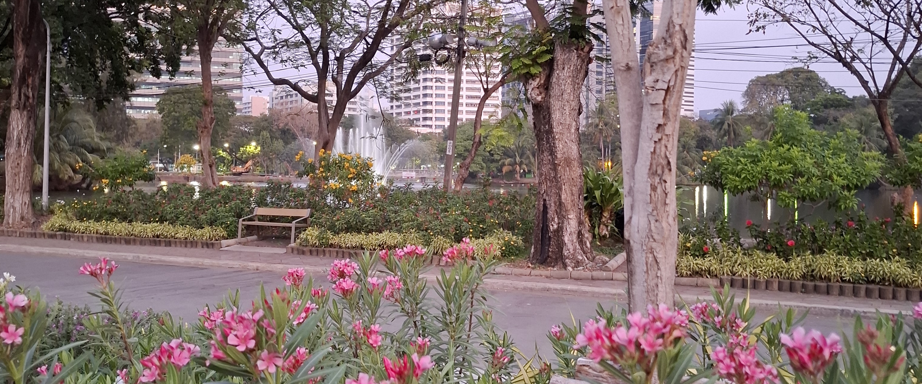 Steps for Life I love SWU banner