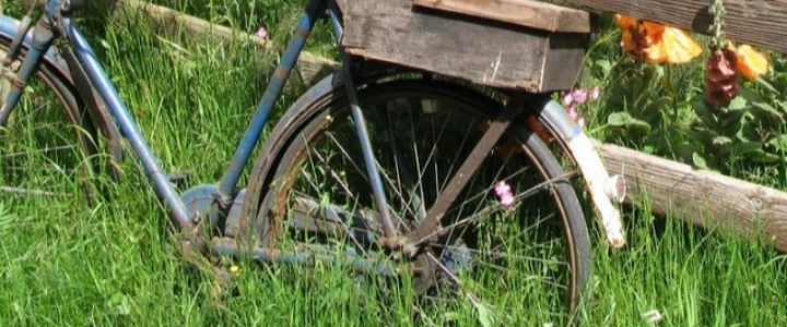 🔹️▪️🔸️Moonlight shadows🌛🌕🌷 banner