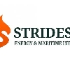 STRIDES TEAM logo