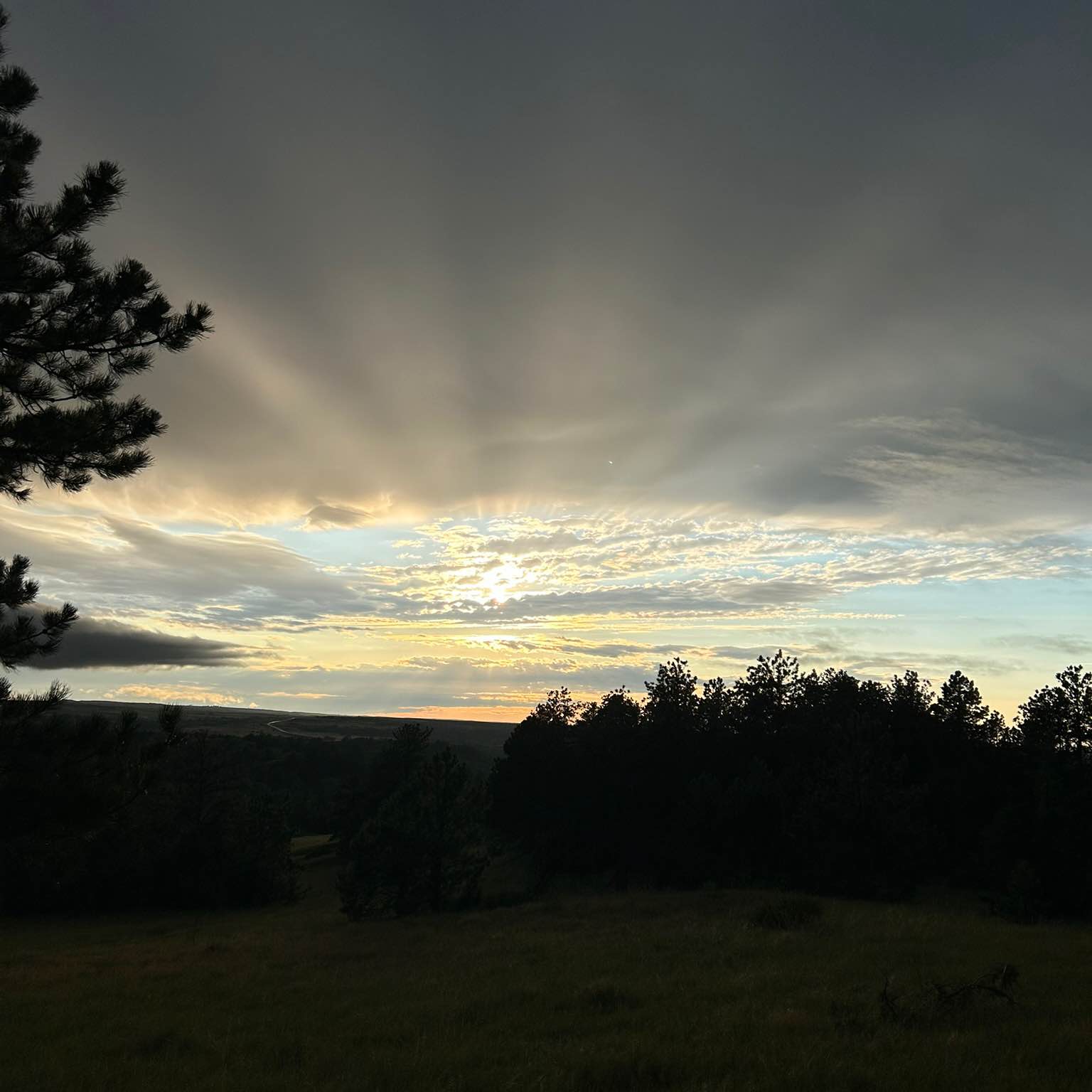 Big Steppers🥾 logo