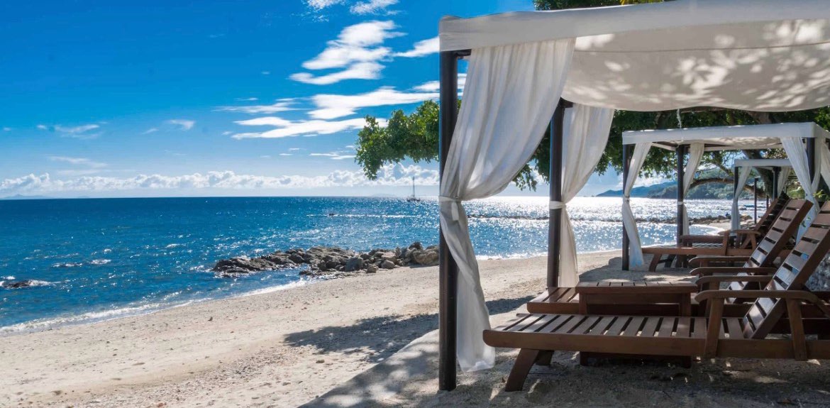 Sole Survivors- Laiya Edition banner