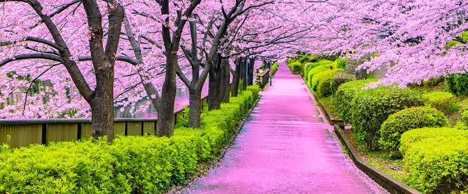 Tours de World with Friends banner